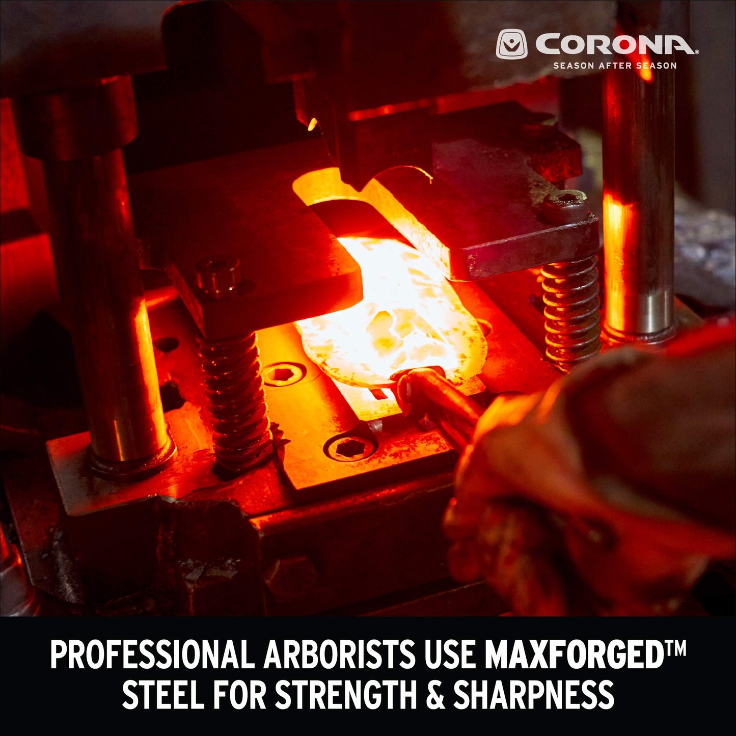 Corona Tools | 36-inch Branch Cutter MAXFORGED Orchard Loppers | Tree Trimmer Cuts Branches up to 2 ¼-inches in Diameter | AL 8482, Red