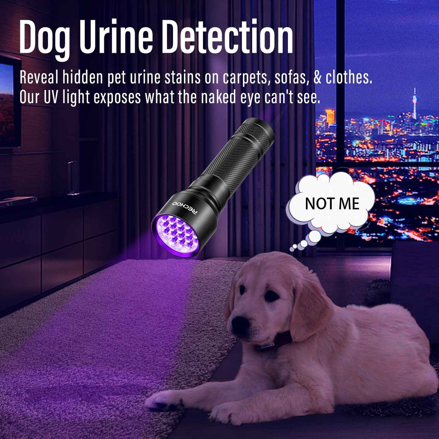 UV Flashlight Black Light 2 Pack, 21 LED 395nm Ultraviolet Rechargeable Flashlights UV Light, Waterproof Portable BlackLight Flashlights for Pet Urine Detection, Dry Stains, Bed Bug, Fluorescent Agent
