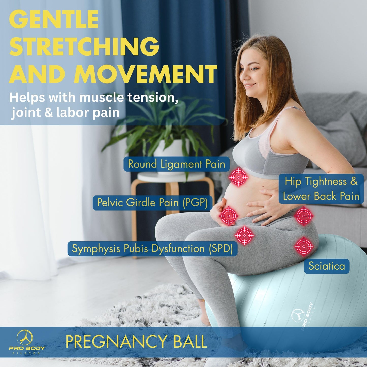 ProBody Pilates Pregnancy Ball - Yoga Ball for Pregnancy with Book, Prenatal, Labor & Postnatal Maternity Exercise (Mist, 55 cm)