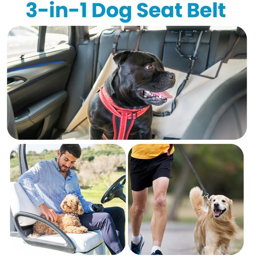 Doggie Seat Leash for Golf Cart, Pet Dog Seat Belt Harness for Car, Collar,Golf cart Dog Belt, Pet Safety Protection