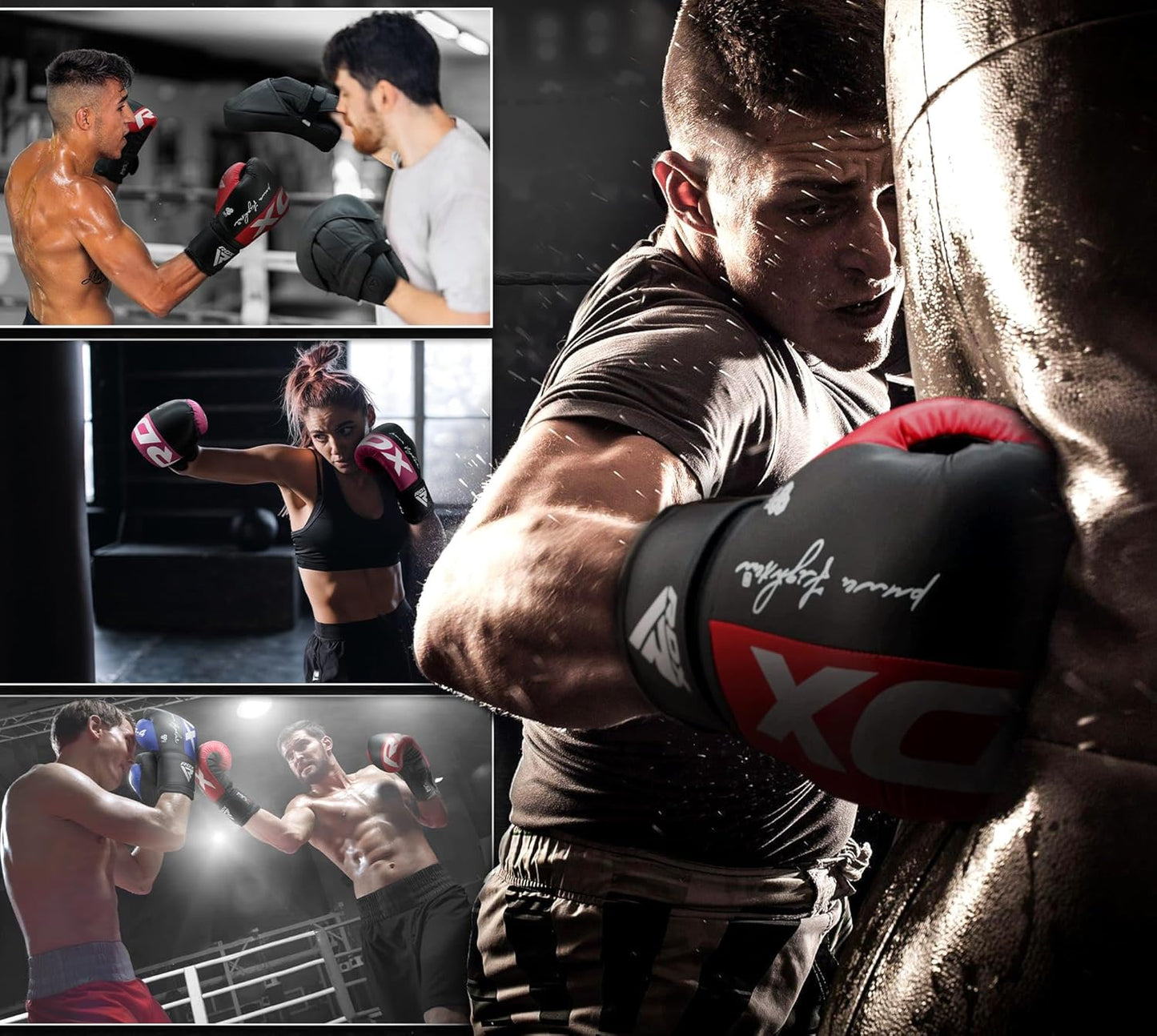 RDX Boxing Gloves - Maya Hide Leather Training Gloves for Muay Thai & Kickboxing | 8-16 oz Sizes