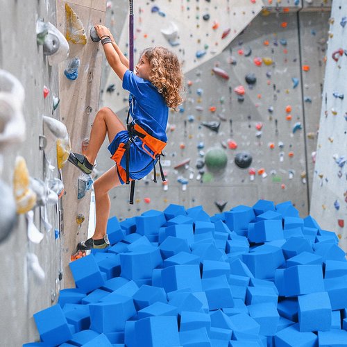 TAYUQEE Foam Pit Blocks - 12 PCS 5" Foam Gym Cubes, Versatile Protective Padding for Trampolines, Gymnastics, Parkour & Action Sports - Dark Blue
