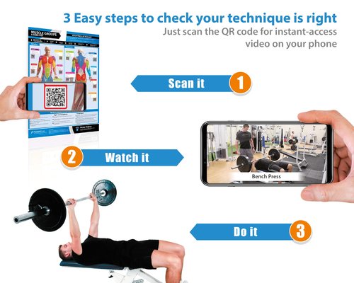 Gym Workout Posters - Set of 13 - LARGE 24" x 16.5" - Laminated - Muscle Group Gym Posters - Includes Video Training Support - Gym or Home Workout Charts by Posterfit.