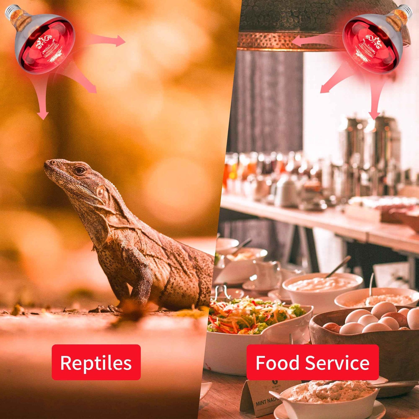 Wesome Lighting 250 Watt Heat Lamp Bulbs for Chicks, R40 Brooder Heat Lamp for Chickens, Infrared Reflector Heat Bulbs for Brooder Heater, Incandescent Spotlight for Pet, Bathroom, Food (2 Pack)