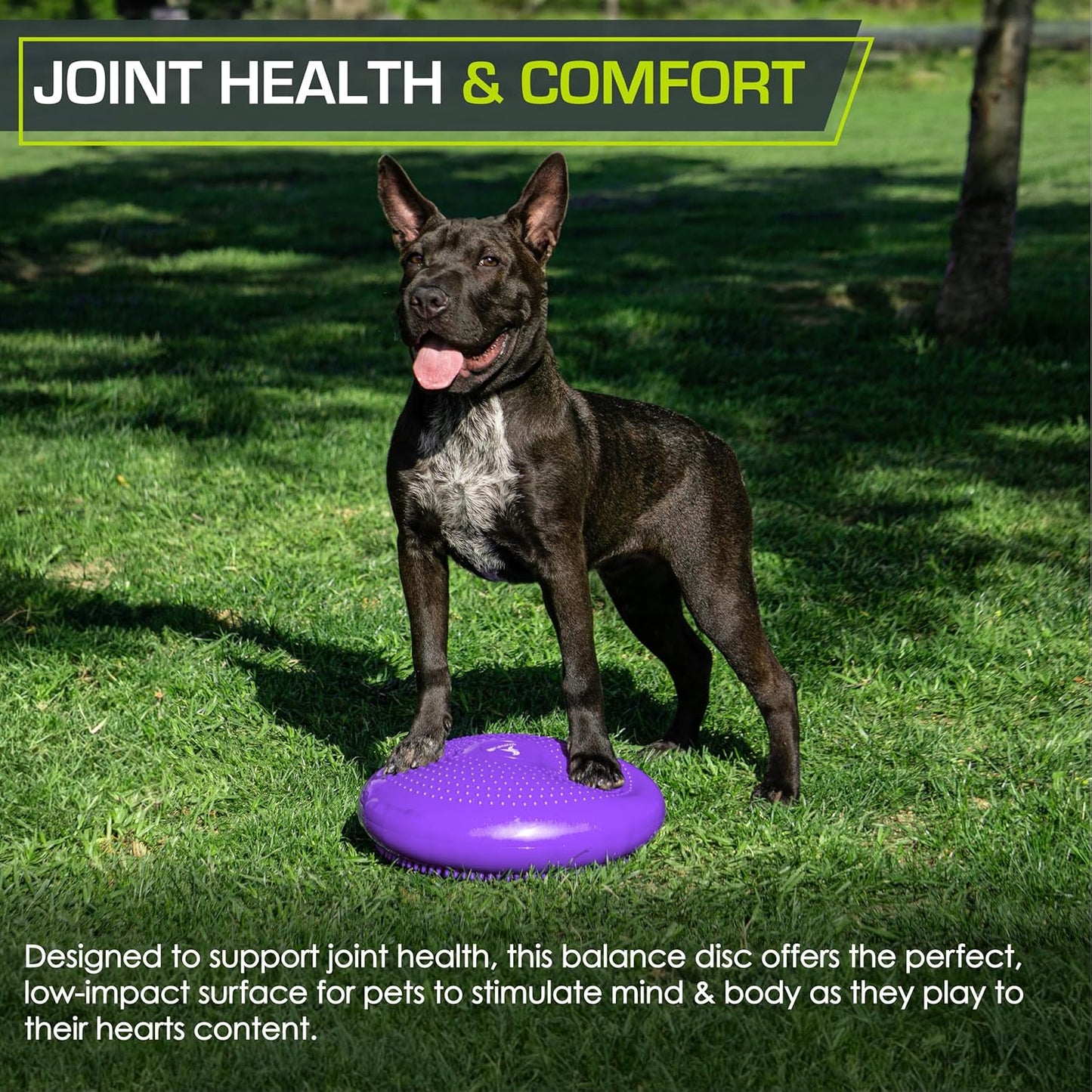 ProsourceFit Core Balance Disc - 14” Diameter Trainer with Pump for Enhanced Posture & Stability