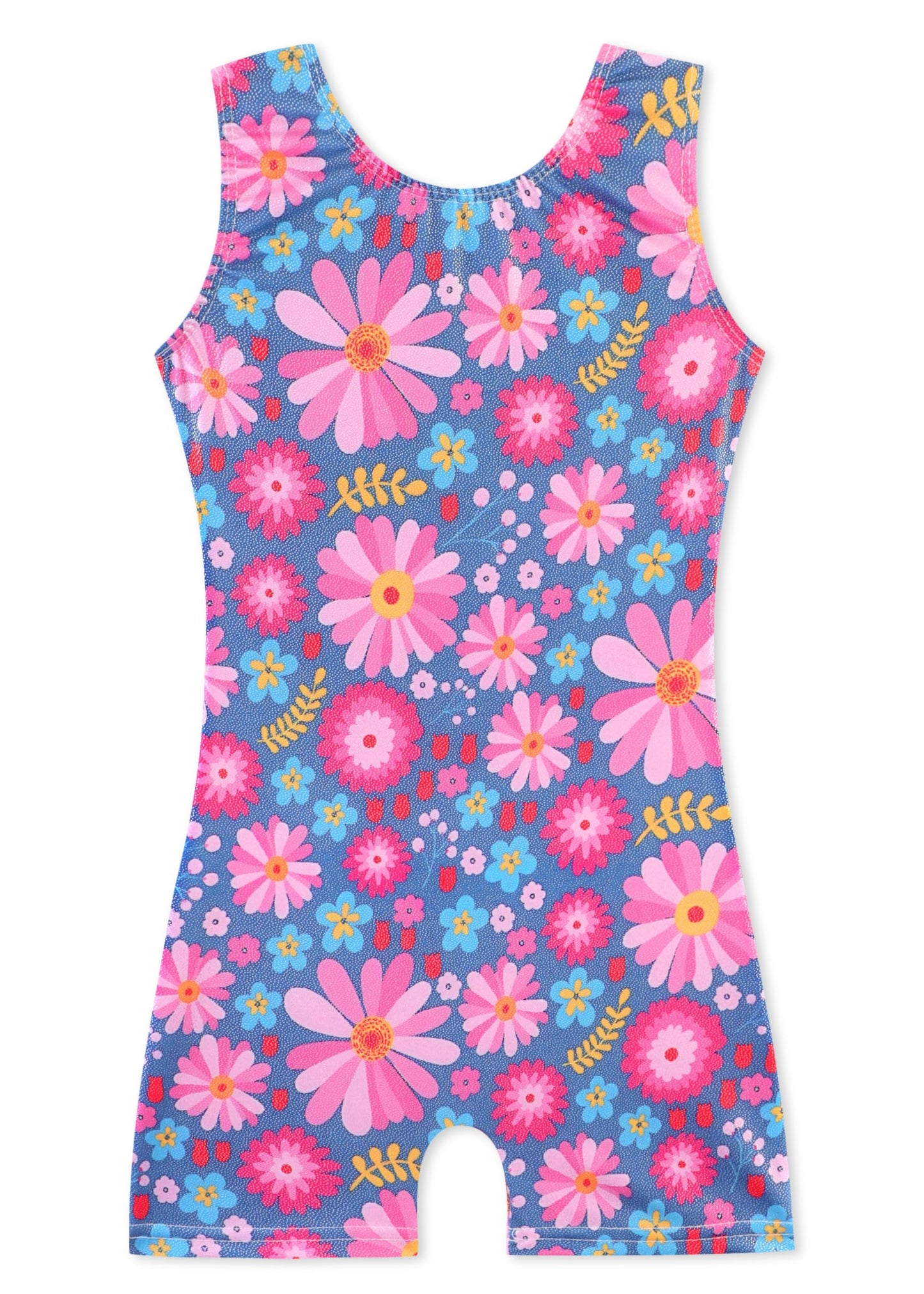 HOZIY Gymnastics Leotards for Toddler Girls 1t 2t Blue Flower Floral Tumbling Outfits Biketard Dance Clothes Clothing Toddlers Sparkle Sparkly Glitter Kids