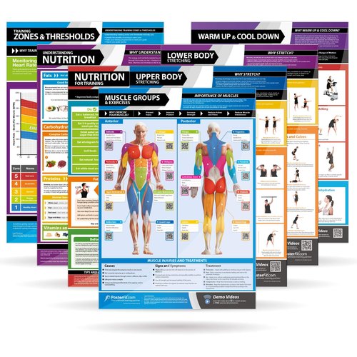 Body Conditioning Gym Posters - Set of 7 Fitness Posters - Laminated Exercise Posters - EXTRA LARGE - 33” x 23.5” - Physical Training and Workouts - Includes Video Training Support