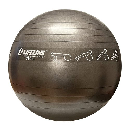Lifeline Fitness Exercise Ball with Workout Guide – Burst-Resistant Stability Ball with Pump for Core, Balance, and Pregnancy Exercises