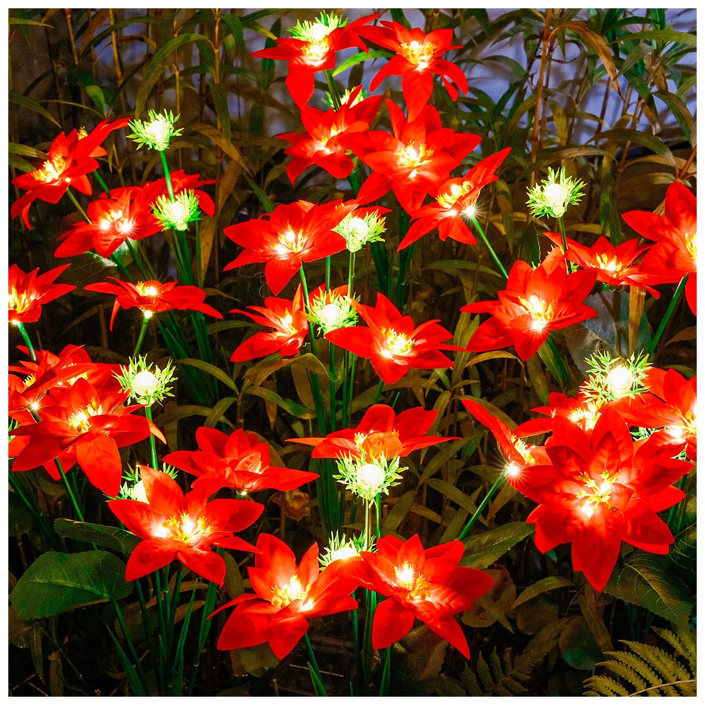 TONULAX Solar Swaying Garden Lights - Upgraded Version Solar Swaying Flower Lights Outdoor,Poinsettia Flower Lights for Yard Decor, Garden Decoration, Enlarged Solar Panel (2pack)