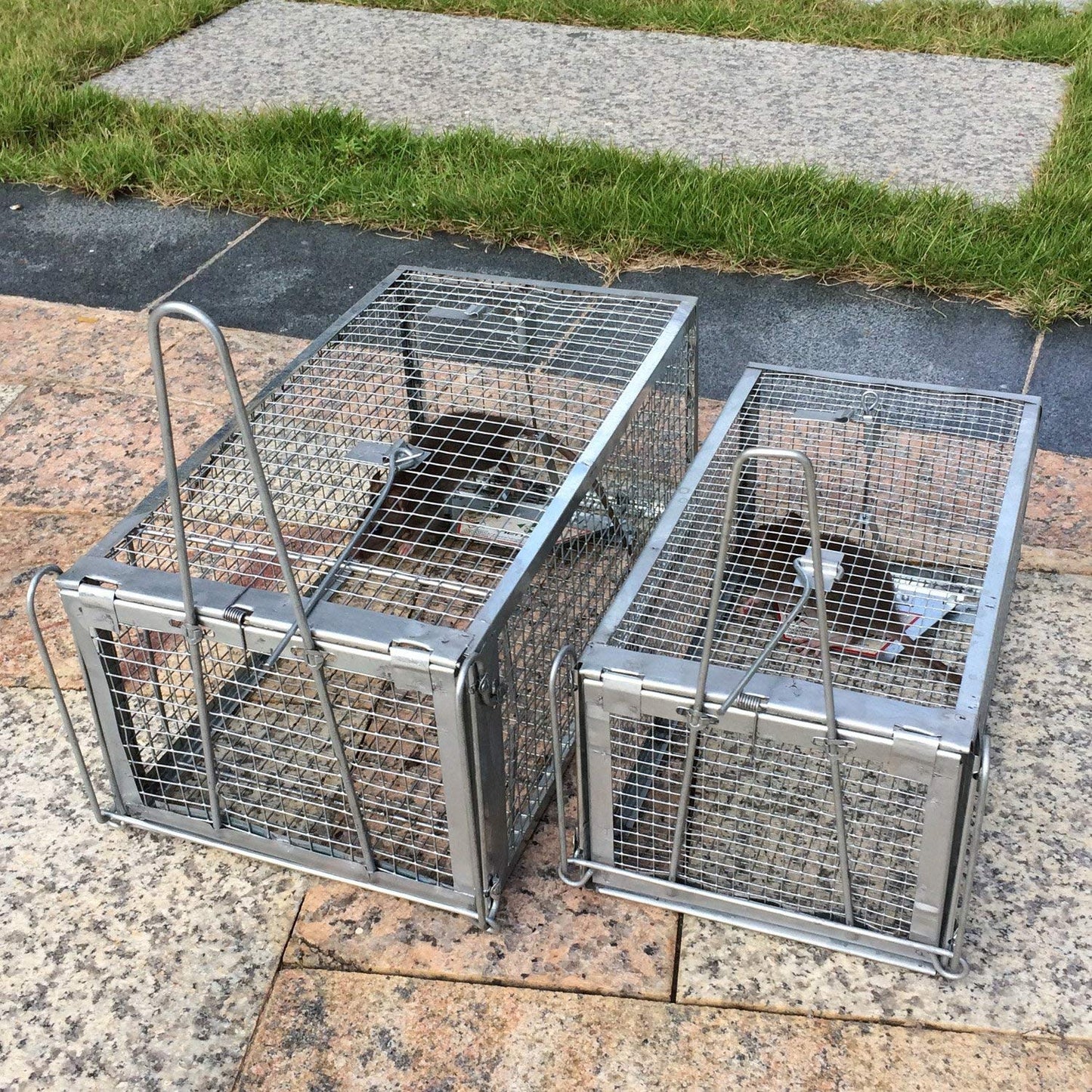 Kensizer Humane Rat Trap, Chipmunk Rodent Trap that Work for Indoor and Outdoor Small Animal - Mouse Voles Hamsters Live Cage Catch and Release 1-Pack Small 10.5" L x 5.5" W x 4.5" H