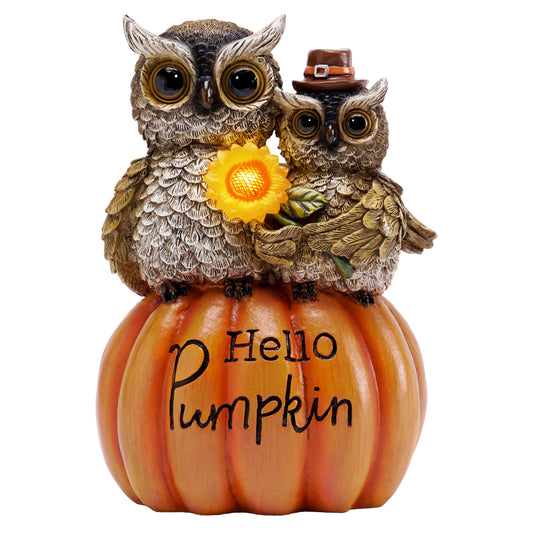 TERESA'S COLLECTIONS Fall Decor, Fall Owl Decor, Owl Perch on Pumpkin with Solar Light, Outdoor Fall Decor Waterproof Resin, Fall Gifts Outdoor/Indoor, 7.1"