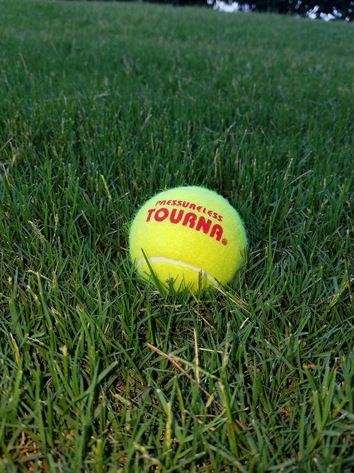 Tourna Pressureless Tennis Balls with 40 Ball Vinyl Tote, Yellow
