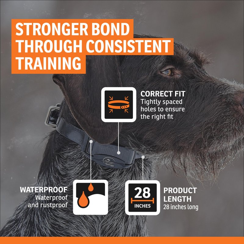 SportDOG 3/4-Inch Collar Strap - Waterproof Replacement Strap for Rugged Outdoor Use - Adjustable Collar with High Visibility - Reflective Orange
