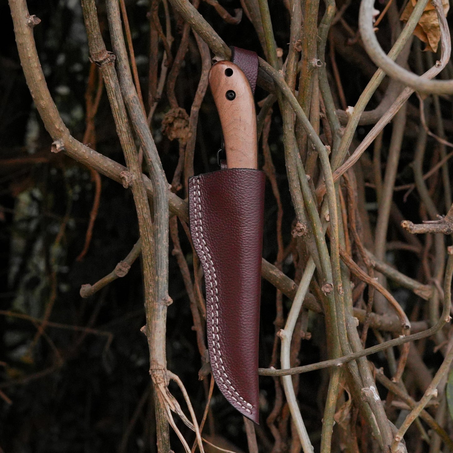 Bushcraft Knife - 9-Inch Scandi EDC Knife, S30V Steel And Walnut Wood Handle Full Tang Fixed Blade with Premium Leather Sheath - For Camping, Hunting, Survival and Outdoor Use - Gifts For Men
