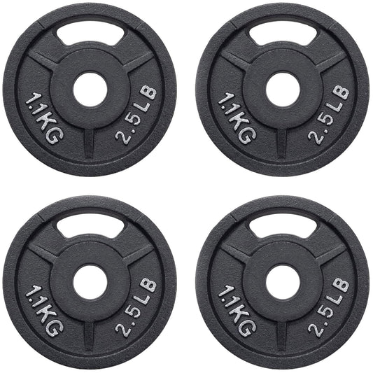 Fitvids Olympic Cast Iron 2-Inch Weight Plate for Strength Training & Weightlifting, 2.5LB Set of 4