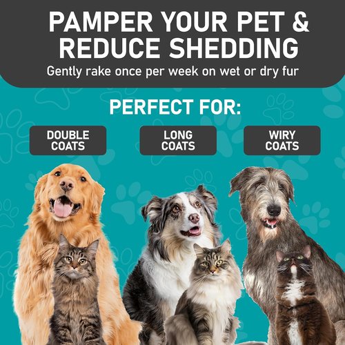 Maxpower Planet Pet Grooming Brush - Double-Sided Undercoat Rake for Dogs & Cats, Reduces Shedding 95% | Pack of 2