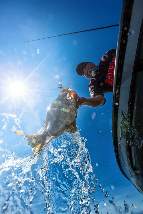 Dives-to 16 Helsinki Shad