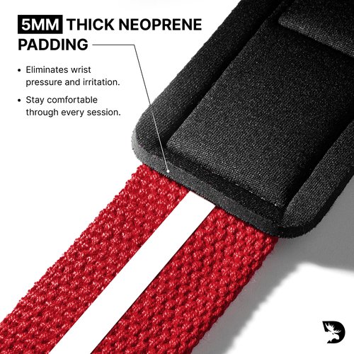 DMoose Fitness Lifting Straps - 4mm Neoprene Padded Wrist Straps for Weightlifting & Powerlifting - Cotton Lifting Strap with Silicone Grip for Men & Women (American Silicone)