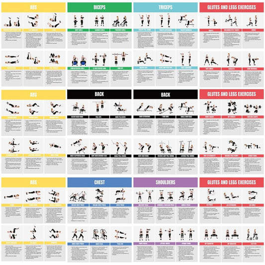 Auroscent Full Body Workout Poster for Home Gym – Exercise Chart for Glutes, Legs, Back & Abs – Strength Training Guide with Squats, Lunges, Deadlifts, Core Exercises – Bodyweight & Dumbbell Training Guide