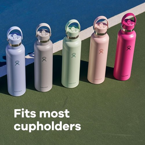 Hydro Flask Water Bottle - Insulated Stainless Steel - Leakproof Straw Lid, 24 Oz Trillium Pink