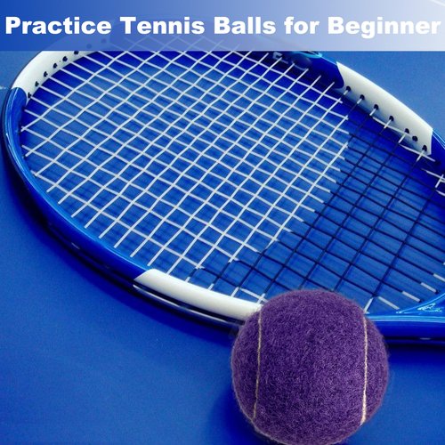 HiBallBall 12-Pack Practice Tennis Balls for Beginners & Dogs - Reusable Mesh Carry Bag Included - Ideal for Tennis Training, Pet Play, Fetch (Purple)