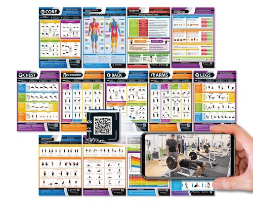 Gym Workout Posters - Set of 13 - LARGE 24" x 16.5" - Laminated - Muscle Group Gym Posters - Includes Video Training Support - Gym or Home Workout Charts by Posterfit.