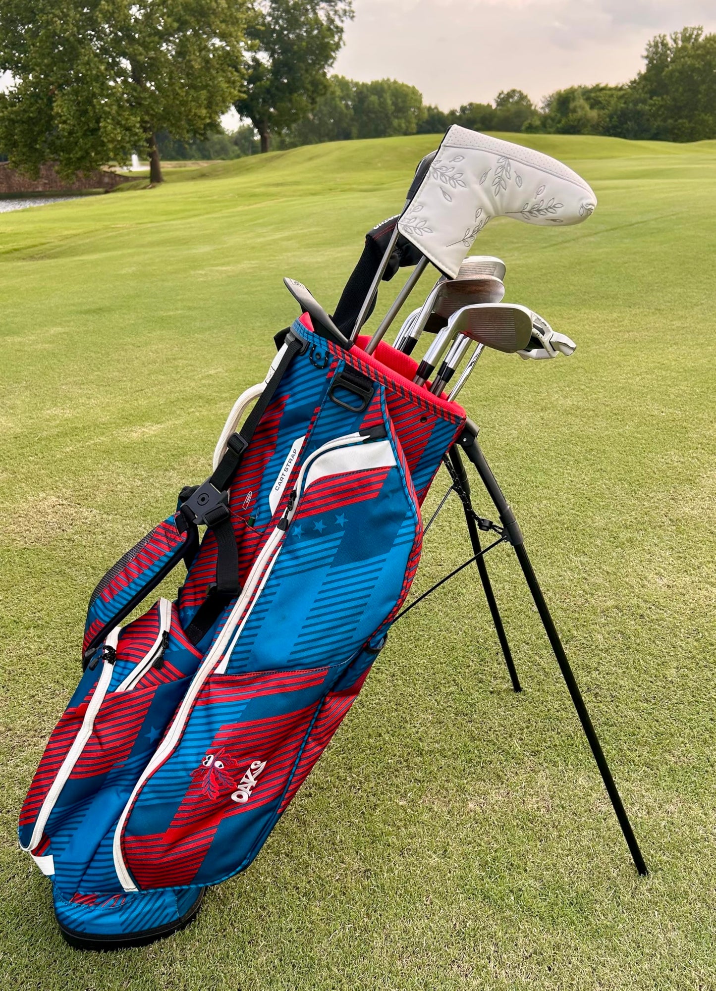Golf Club Putter Head Cover, Leaf Leather Waterproof Magnetic Closure Golf Driver and Blade Mallet Putter Covers Fits All Brands Including Fairway Wood Odyssey Taylormade (Leaf Design)