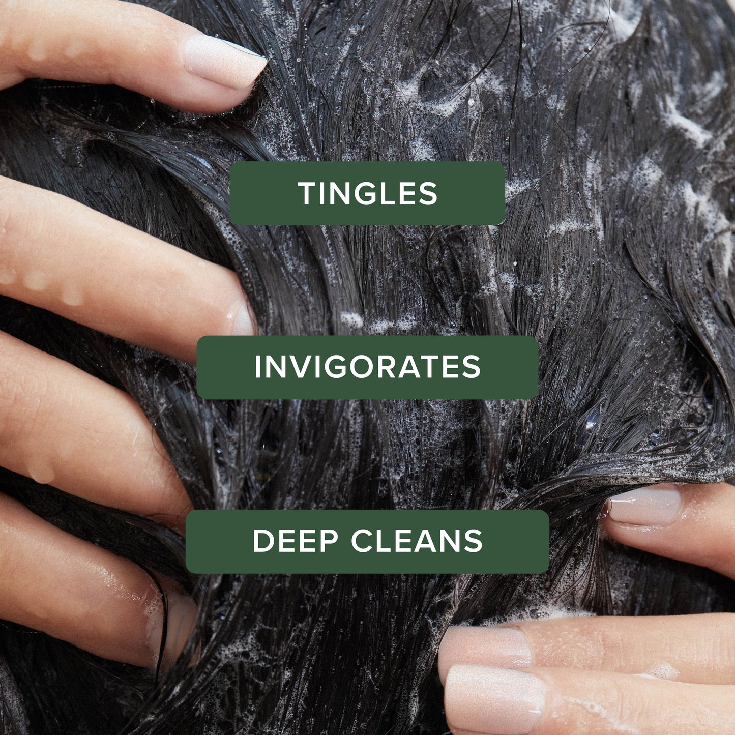 Tea Tree Special Shampoo, Deep Cleans, Refreshes Scalp, For All Hair Types, Especially Oily Hair, 33.8 fl. oz.