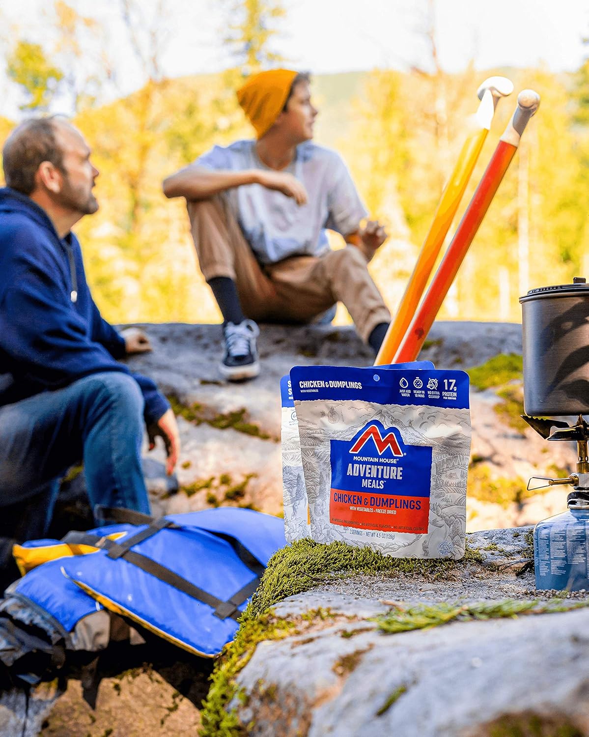 Mountain House Chicken & Dumplings - Freeze-Dried Camping Food | Convenient 4-Pack
