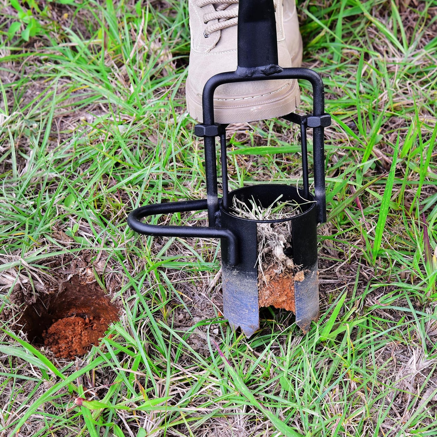 Omesata Sod Plugger, Bulb Planter with Long Handle and Serrated Base Garden Tool, Bulb Transplanter Also Grass Plug Tool for Digging Holes to Plant Tulips, Iris, Daffodils