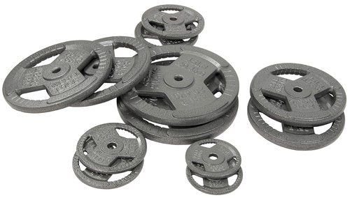 Fitvids Cast Iron Plate Weight Plate for Strength Training and Weightlifting – Olympic or Standard – 10LB (Pair) – Standard (1-Inch Center)