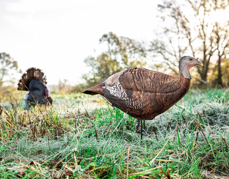 Primos Hunting Photoform Leading Hen Decoy_Turkey Hunting Decoy_69070, One Size