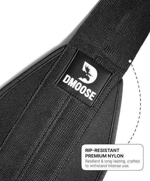 DMoose Fitness Hanging Ab Straps - Soft Padded Exercise Straps for Core Strength Training | Includes 2 Steel Carabiners