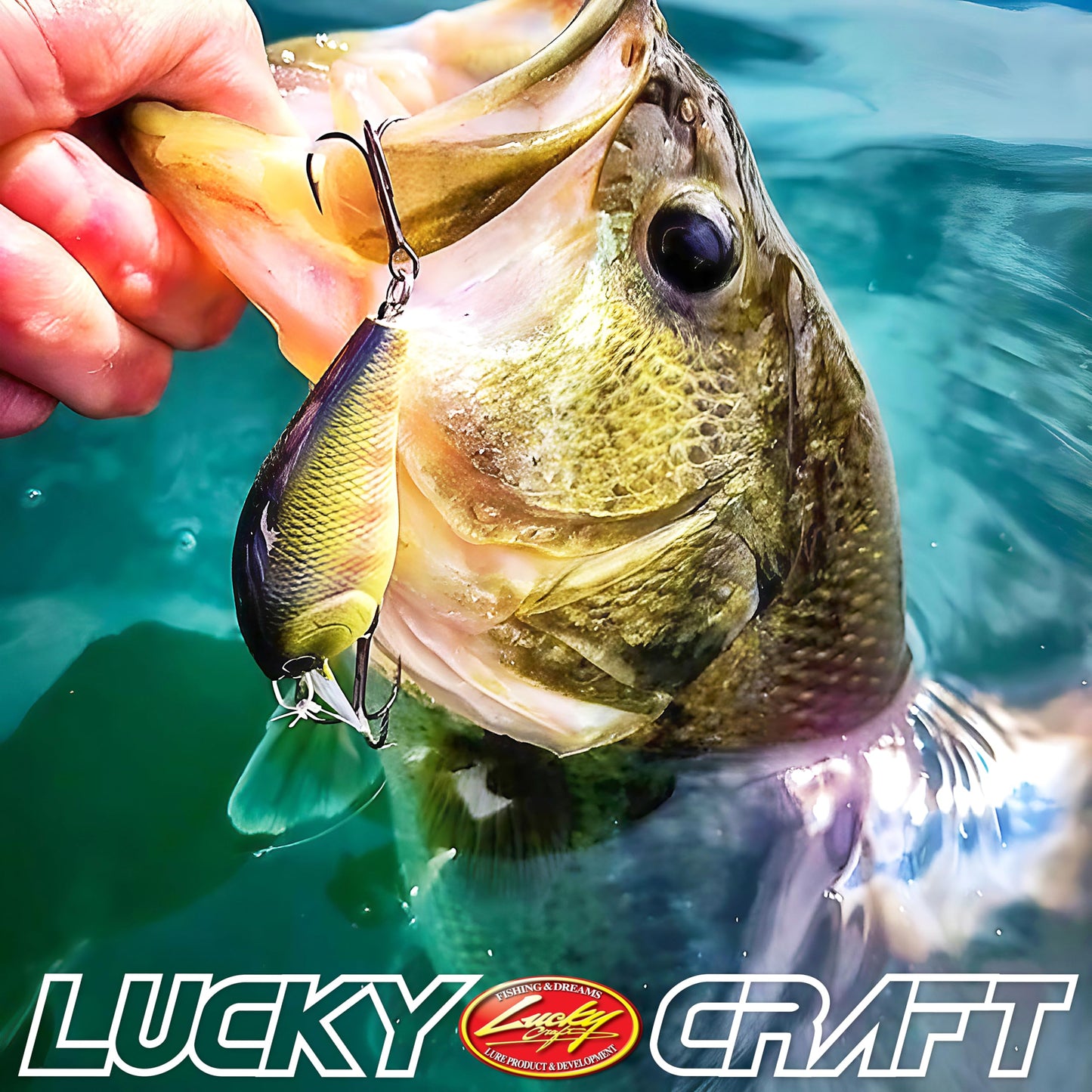 LUCKY CRAFT Pond Bass Premium Box, 7 Freshwater Fishing Lures for Pond and Lake Fish, Mystery Selection Tackle Box with Surprise Bass Lures, Fishing Gear Accessories