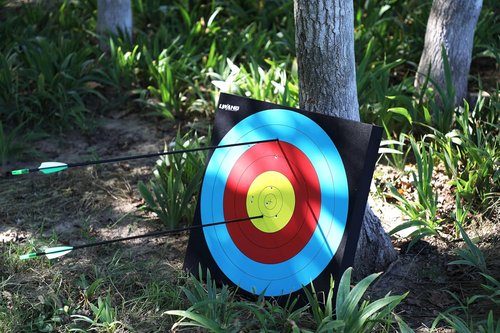 LWANO 20'' High-Density Foam Archery Target - Ideal for Backyard Practice & Training