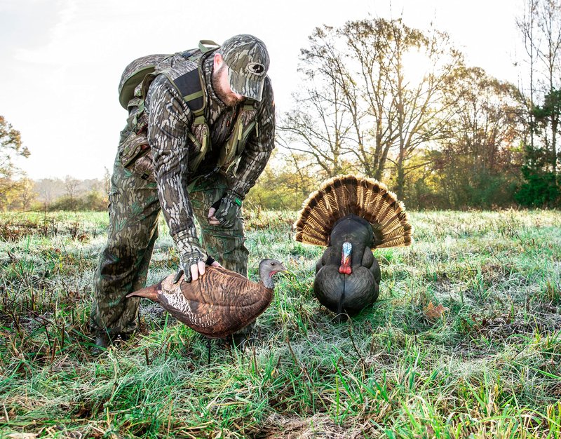 Primos Hunting Photoform Leading Hen Decoy_Turkey Hunting Decoy_69070, One Size