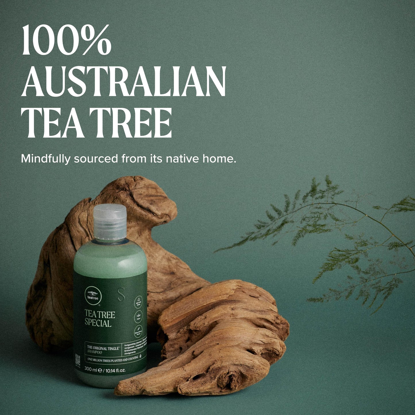Tea Tree Special Shampoo, Deep Cleans, Refreshes Scalp, For All Hair Types, Especially Oily Hair, 33.8 fl. oz.