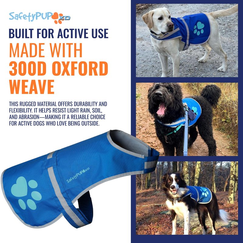 SafetyPUP XD Dog Reflective Vest – Hi-Vis Fluorescent Visibility that Helps to Safeguard Your Pet On/Off Leash in Urban & Rural Areas (Teal, Large)