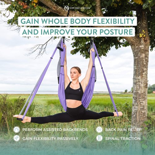 UpCircleSeven Aerial Yoga Swing Set Ceiling Mount Accessories, Purple/Grey