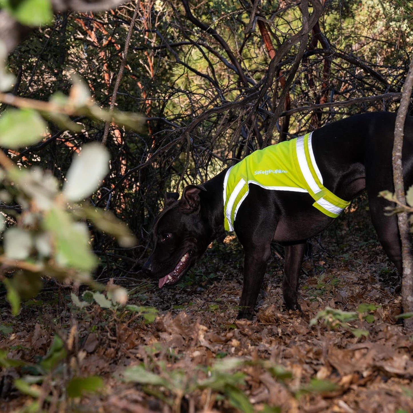SafetyPUP | XD Lite Dog Vest - Reflective Hi-Visibility Fluorescent Yellow for Enhanced Safety