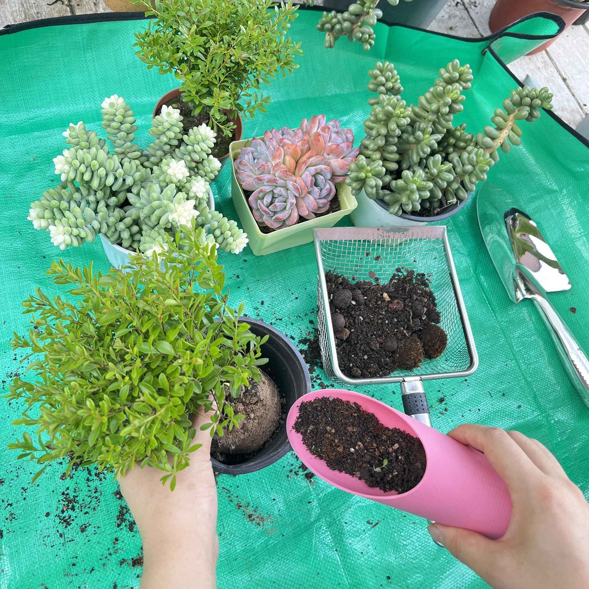 6-Pack Garden Tool Set, Soil Sifter Shovel (3.8 & 5mm Mesh) - Stainless Steel Gardening Kit & Essential Accessories, Garden Hand Tools & Planting Tools, Ideal Gardening Gifts for Women, Men, Mom & Dad