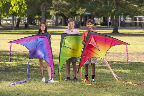 JOYIN Large Delta Kites - Easy to Fly Airplane & Spaceship Designs | Perfect for Kids & Adults