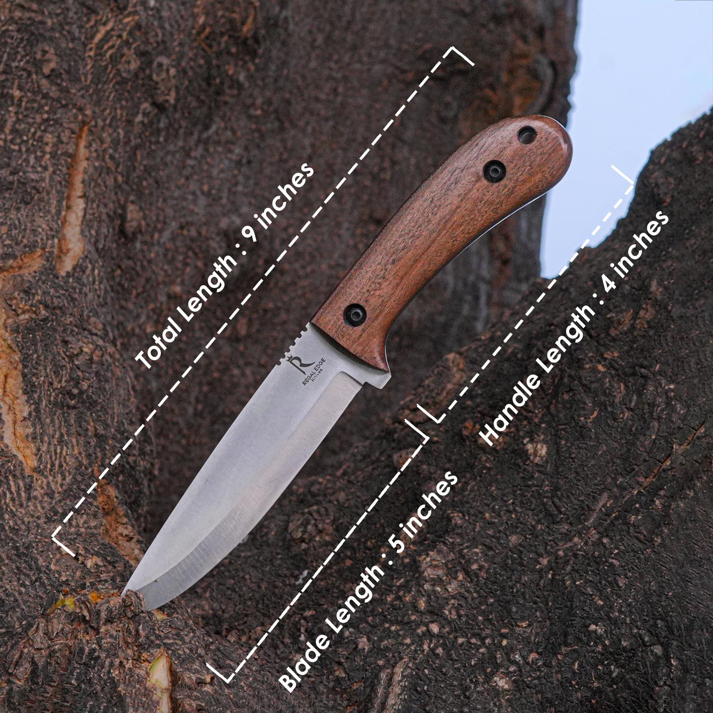 Bushcraft Knife - 9-Inch Scandi EDC Knife, S30V Steel And Walnut Wood Handle Full Tang Fixed Blade with Premium Leather Sheath - For Camping, Hunting, Survival and Outdoor Use - Gifts For Men