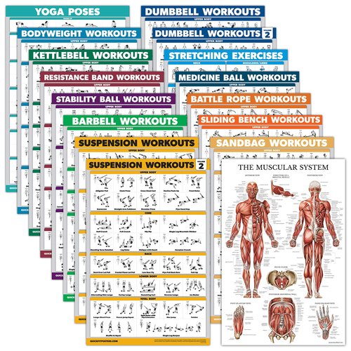 16 Pack - Exercise Poster Set, Dumbbell, Suspension, Kettlebell, Resistance Bands, Medicine Ball, Battle Rope, Stretching, Bodyweight, Barbell, Yoga, Exercise Ball, Muscular (LAMINATED, 18" x 24")