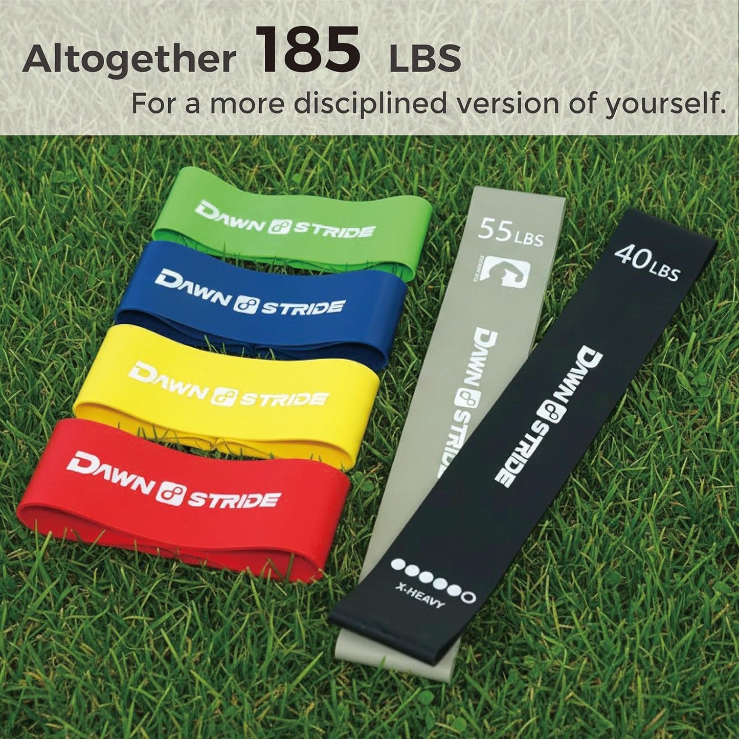 Skiennix 6-Levels Resistance Exercise Loop Bands Set - Elastic Workout Bands for Yoga & Strength Training | Includes Guide & Carry Bag