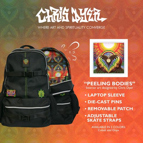 DIME BAGS Skateboard Backpack with Skate Straps, 9 Compartments for Storage Including 1 Hidden Order-Sealed Pocket, Durable Water-Resistant Exterior & Padded Straps, Chris Dyer Skatepack (Blue)