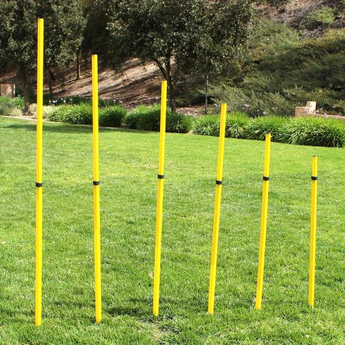 BlueDot Trading Soccer Agility Poles - Telescopic & Collapsible Options | Speed Training Sets (4, 6, 8 Pieces)