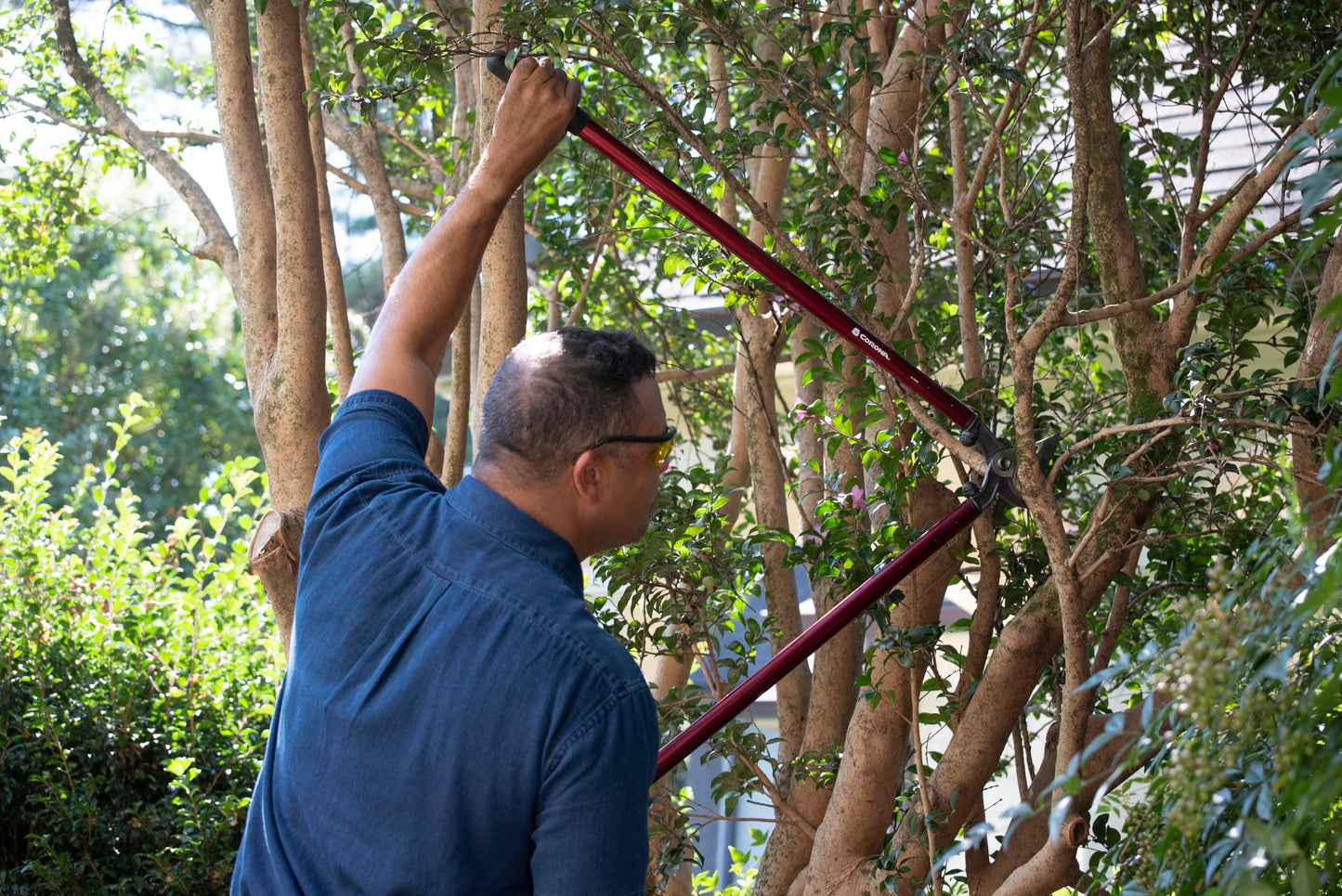 Corona Tools | 36-inch Branch Cutter MAXFORGED Orchard Loppers | Tree Trimmer Cuts Branches up to 2 ¼-inches in Diameter | AL 8482, Red