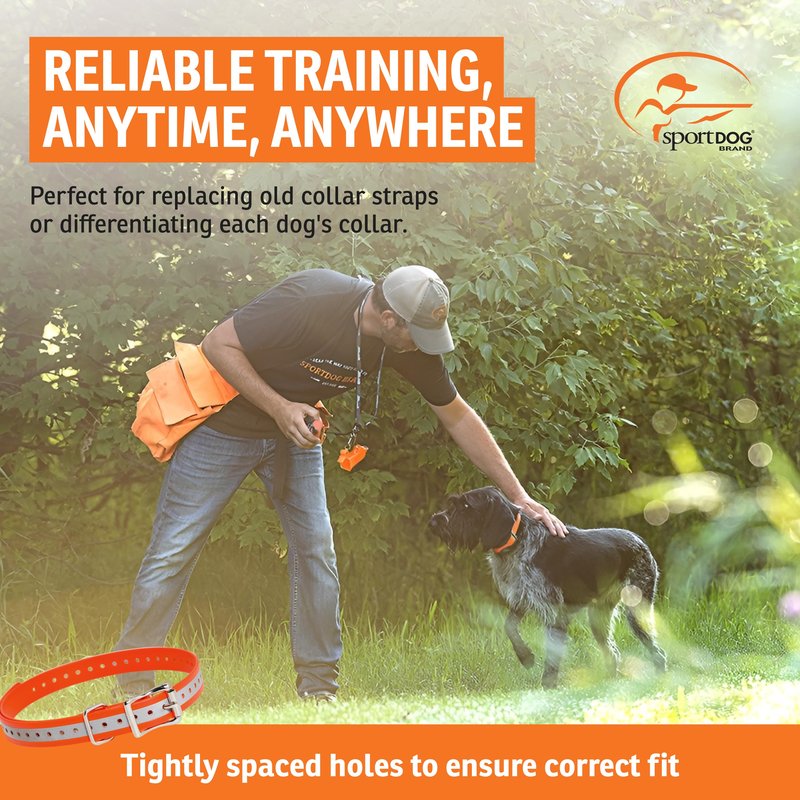 SportDOG 3/4-Inch Collar Strap - Waterproof Replacement Strap for Rugged Outdoor Use - Adjustable Collar with High Visibility - Reflective Orange