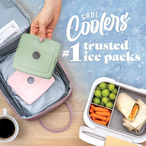 Fit & Fresh Slim Ice Packs - Quick Freeze Reusable Lunch Packs | Long-Lasting & Space-Saving, 4-Pack Multicolor